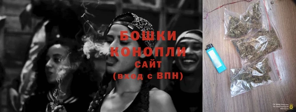 стафф Коряжма