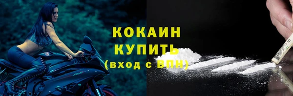 стафф Коряжма