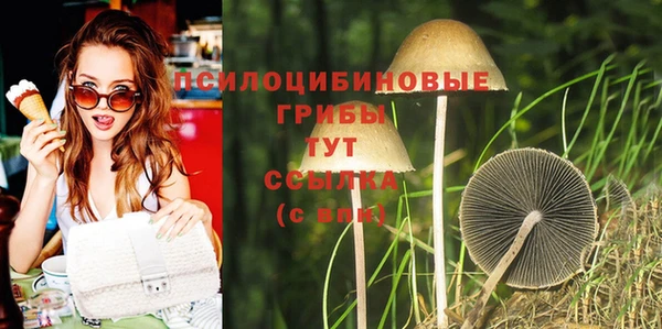 дурь Корсаков
