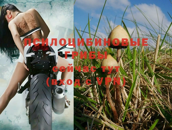 кокаин колумбия Козельск
