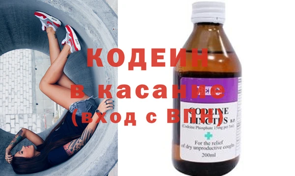 прущие грибы Ладушкин