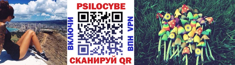 Псилоцибиновые грибы Cubensis  Новотитаровская 