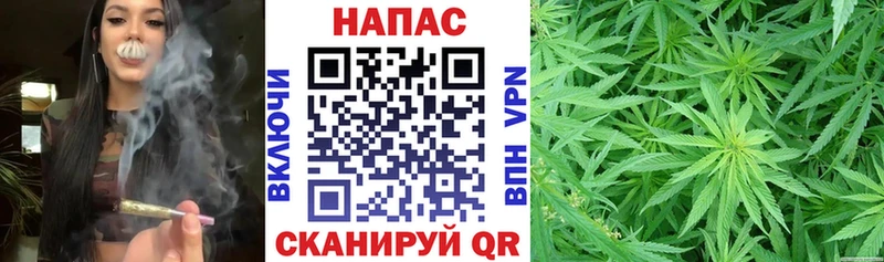 Бошки марихуана Ganja  Новотитаровская 
